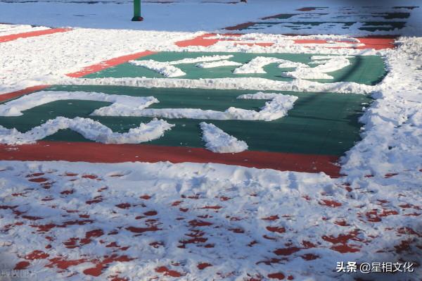 （周運）瑪法達_12月29日至1月4日星座運勢：精彩落幕，開春迎喜