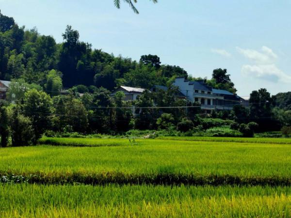 江西弋陽旭光幸福村，家家住洋房戶戶領工資，風景如畫少有人知