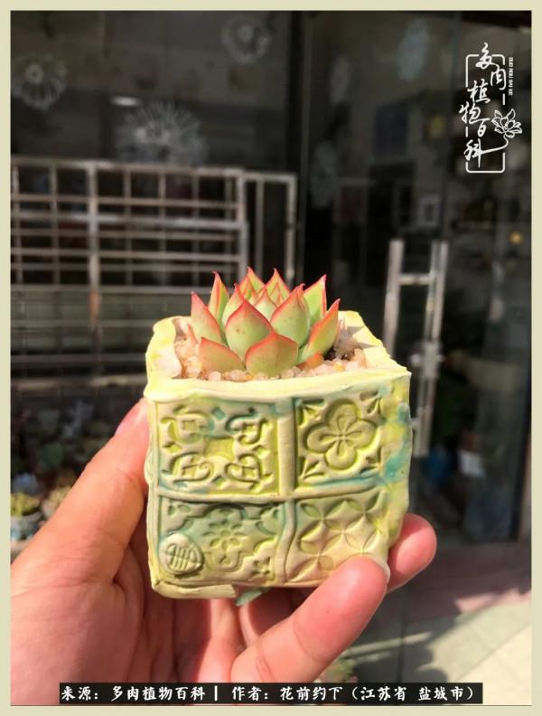 你儘管善良,福報都在路上 你儘管善良,福報都在路上