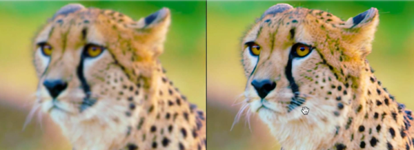 2021年8款人工智慧神器！最新漢化版，有需要就拿去