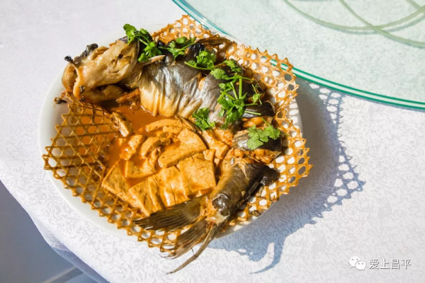 秋日農場嗨玩!露營野餐,種菜摘果,過嚮往的田園生活 秋日農場嗨玩!露營野餐,種菜摘果,過嚮往的田園生活