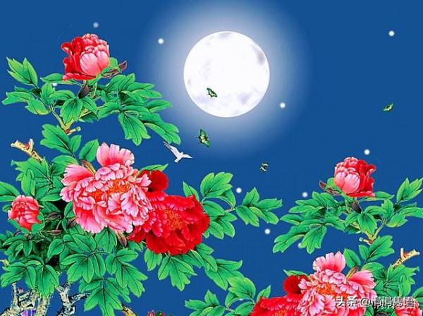 美醉了千年的中秋詩詞，千里共嬋娟中的嬋娟在古詩文中有哪些釋義