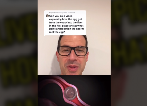 它也可以孕育生命？加拿大女子懷孕後子宮內不見胎兒，醫生一看肝臟驚呆了