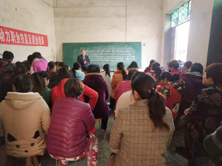 “天”上來“課”解決地上難題，省級高階農藝師線上教你“種菜”