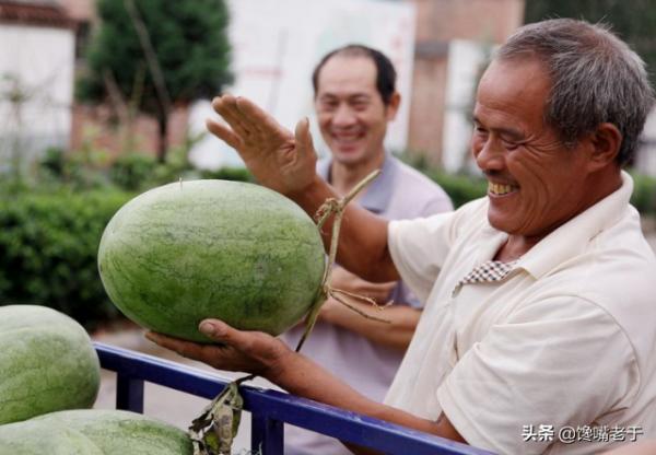 挑西瓜別拍來拍去惹人笑,看準這2點,又沙又甜,瓜販也不得不服 挑西瓜別拍來拍去惹人笑,看準這2點,又沙又甜,瓜販也不得不服