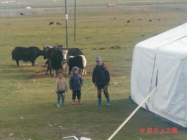 崑崙山的穿越——花石峽、冬給措納湖至香日德