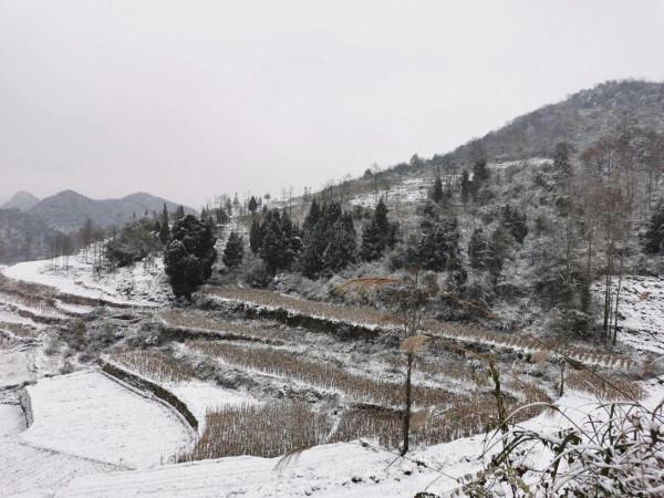 歸途——不可避免，我們離死亡越來越近