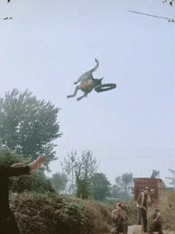 樹先生終於培養出了哮天犬→ 樹先生終於培養出了哮天犬→