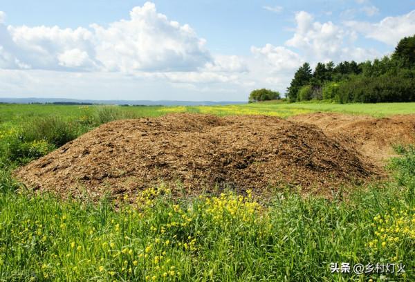 雞糞的優點和缺點你都知道嗎?使用不當,好的肥料也會起壞作用 雞糞的優點和缺點你都知道嗎?使用不當,好的肥料也會起壞作用