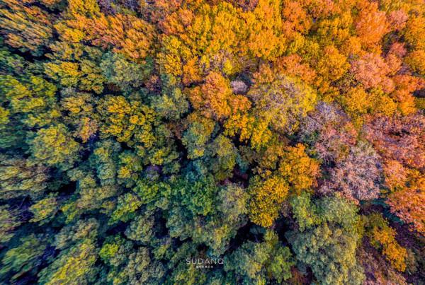 武漢寶通禪寺：在千年皇家寺院賞秋，是什麼感覺？
