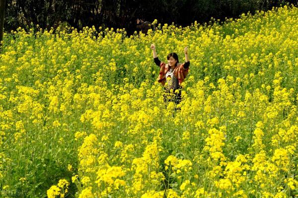 怎樣看待米國社會的穩定性