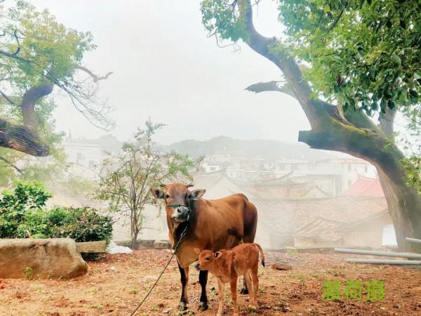 朋友圈2021年第31期