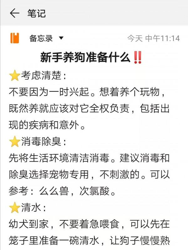 養狗新手接狗前，這些一定要清楚