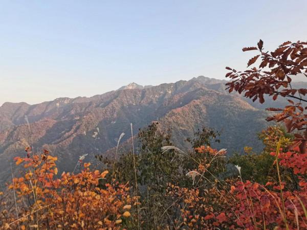 圭峰紅葉遍山,九小時歷程卻讓人驚心 圭峰紅葉遍山,九小時歷程卻讓人驚心