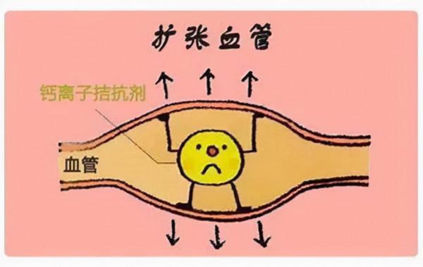 長期吃降壓藥有哪些副作用？盤點各種降壓藥副作用，建議收藏
