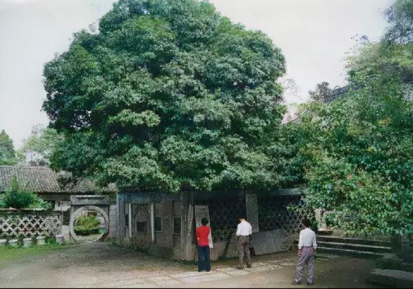 中國古今十之最,長見識了! 中國古今十之最,長見識了!