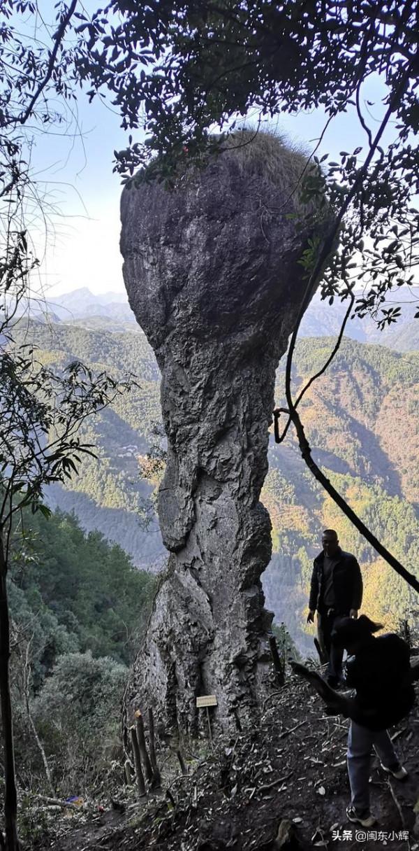 福建大山發現天然蘑菇石,外觀酷似“大力神杯”,在網上引起熱議 福建大山發現天然蘑菇石,外觀酷似“大力神杯”,在網上引起熱議