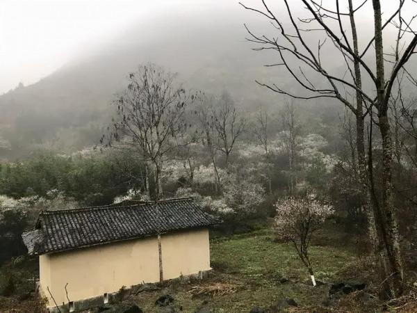 疫情過後，我想再去一次貴州，這10個地方，一直讓我念念不忘