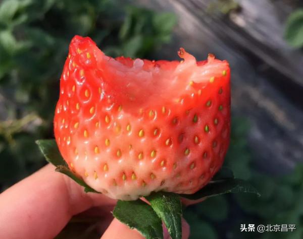 2021好幸運，和你在昌平走過春夏秋冬