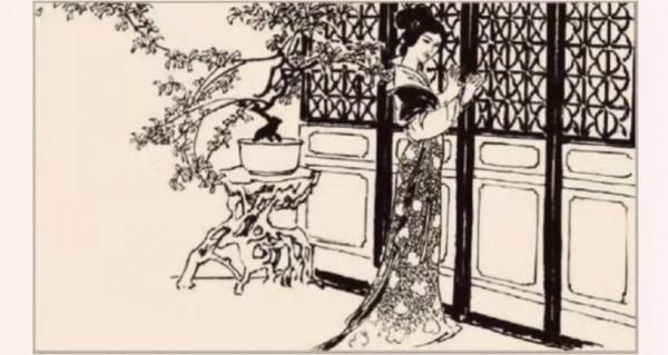 民間故事：男子放生偷瓜獾，酣睡時偷瓜獾託夢說，你回家別吃西瓜