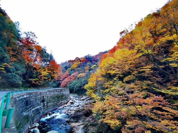 米倉山，走走停停的一天