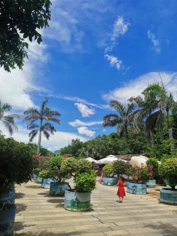 海南自駕遊 DAY 3 海南自駕遊 DAY 3