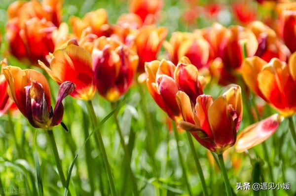 讓人深思的社會定律:你強的時候,運氣最好 讓人深思的社會定律:你強的時候,運氣最好