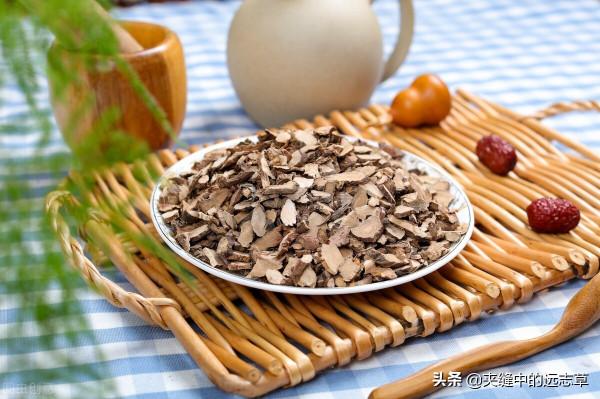 鼻塞、鼻癢、流涕不止？送你十味中藥，通鼻竅，瀉肺熱，