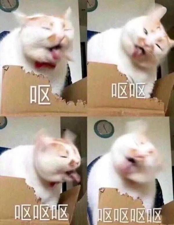 表情包：小狗狗也會生氣的