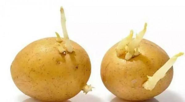 吃土豆會影響體內的血糖水平嗎？提醒：想要穩定血糖，少吃3物