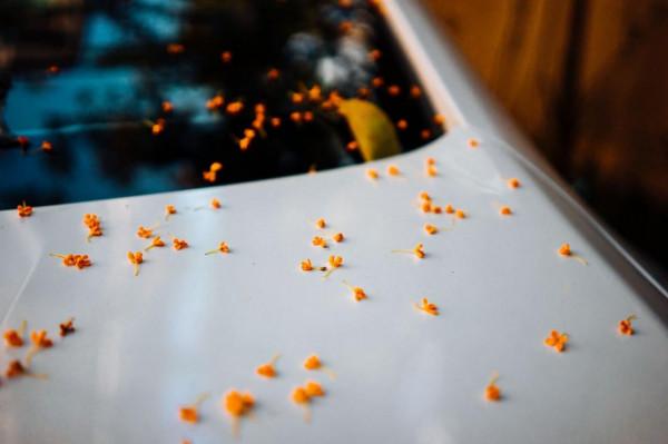 絕美秋景|江浙滬小眾自駕遊,在遂昌的深山中放空自己 絕美秋景|江浙滬小眾自駕遊,在遂昌的深山中放空自己