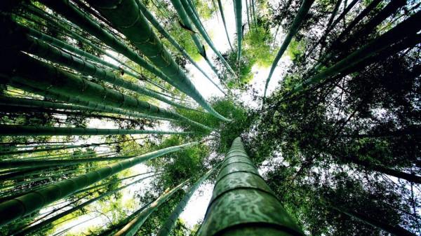 江西的這座山，與月亮有關，還帶著明月般朦朧的美