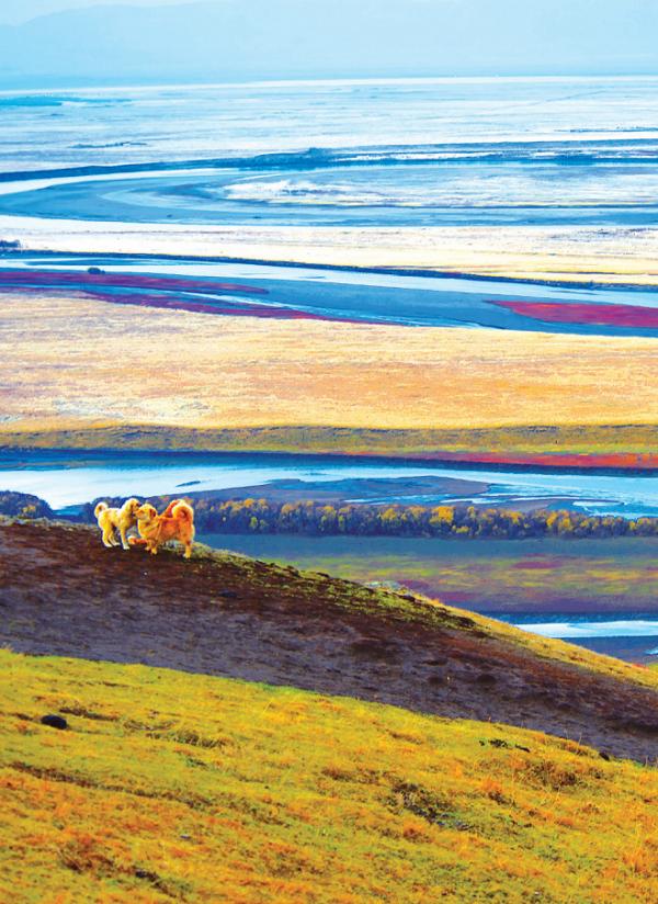 「文旅四川」去過阿壩,才知什麼是人間理想地 「文旅四川」去過阿壩,才知什麼是人間理想地