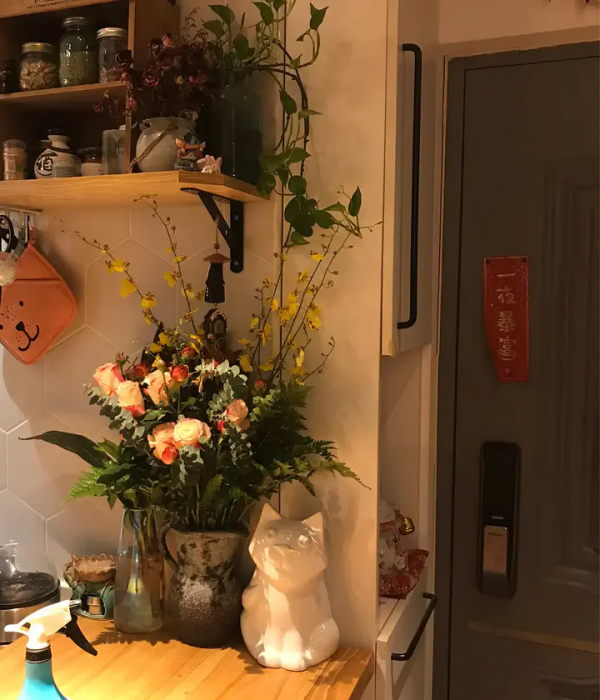 家裡有片雨林是什麼樣的體驗？帶你走進我的室內花園