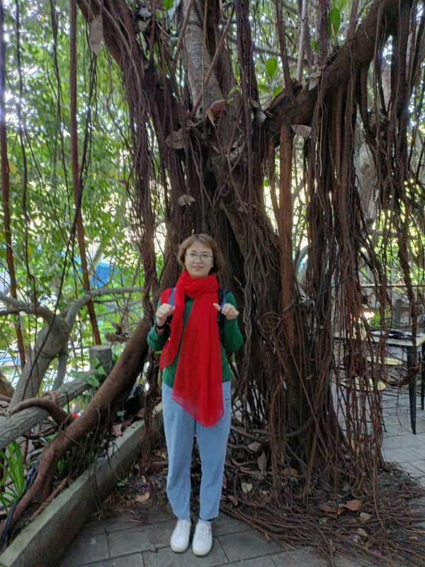 機緣巧合逛原始森林公園 機緣巧合逛原始森林公園