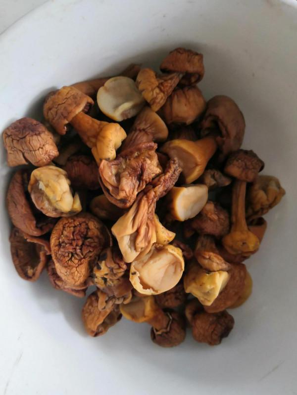 好吃到咬舌頭的竹筍燒牛腩 好吃到咬舌頭的竹筍燒牛腩