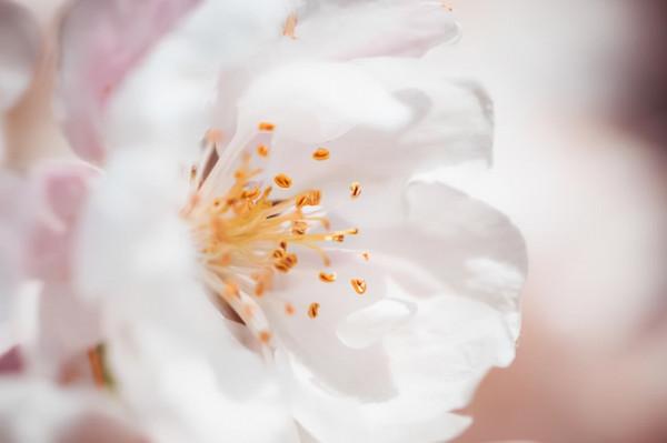 做人要低調，越是炫耀這些東西，福氣越少