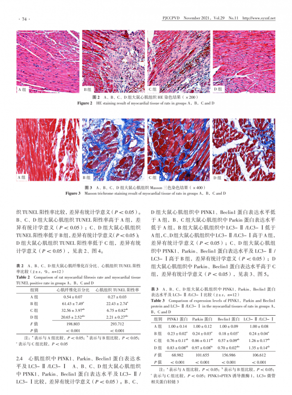 香芹酚透過增強 PINK1/Parkin 介導的自噬而減輕心肌缺血損傷的實驗 香芹酚透過增強 PINK1/Parkin 介導的自噬而減輕心肌缺血損傷的實驗
