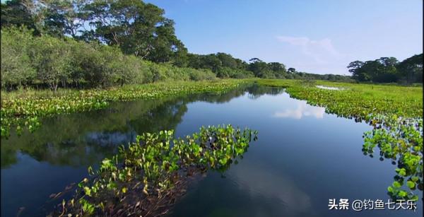 肥水釣不到大魚?其實是你方法不對,記住這幾點,大魚跑不掉 肥水釣不到大魚?其實是你方法不對,記住這幾點,大魚跑不掉