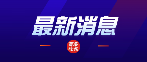 曾遭納粹掠奪 梵高畫作有望拍出3000萬美元