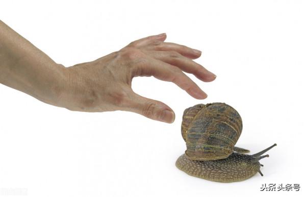 各種蝸牛護膚品是怎麼來的? 各種蝸牛護膚品是怎麼來的?