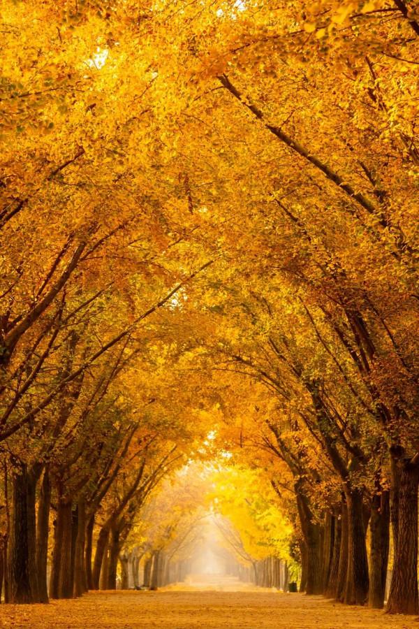 中國最美的50個地方,我竟然只去過10個,你呢? 中國最美的50個地方,我竟然只去過10個,你呢?