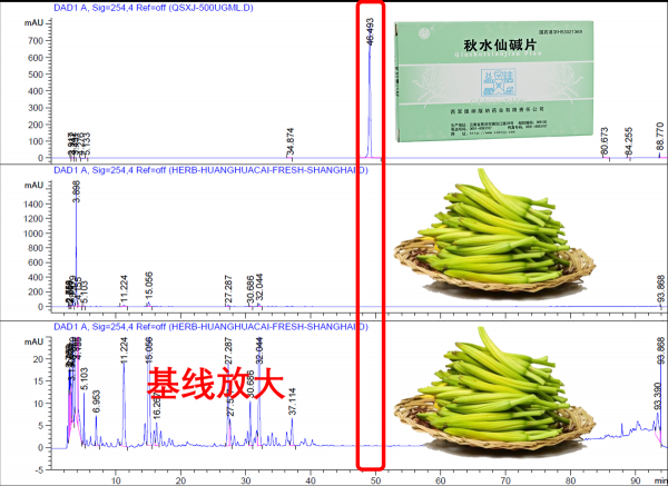 闢謠：黃花菜咋樣都不會有秋水仙鹼