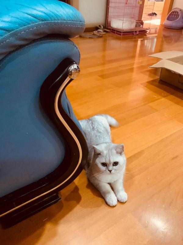 最後一篇博文 最後一篇博文