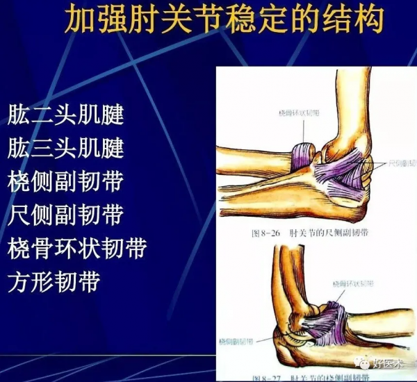 86張全身關節應用解剖精講，這篇文章值得收藏