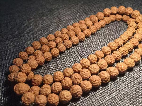 金剛菩提，老手和新手的區別到底在哪？