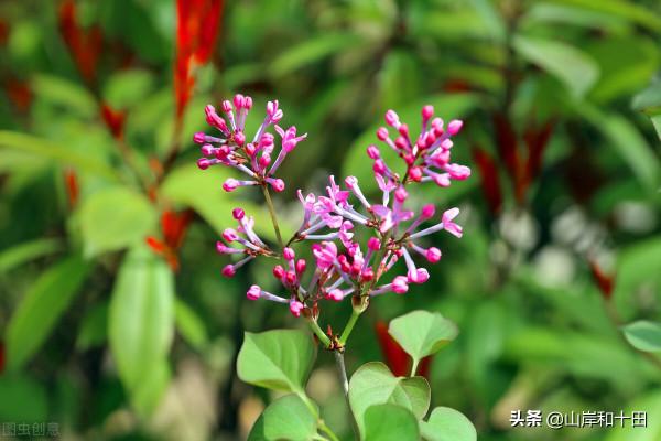 「本週運勢」12月6日(週一)~12月12日(週日)運勢，12星座周占卜