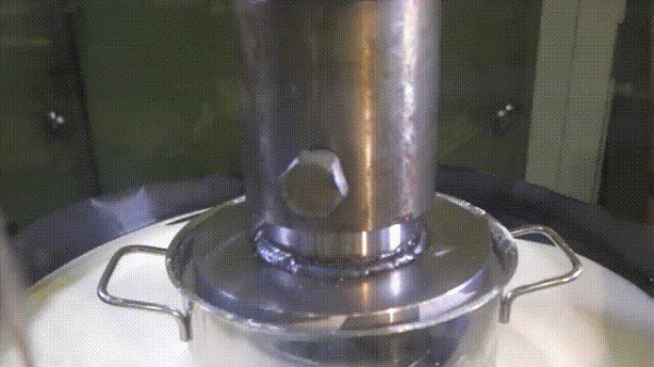 液體貓咪之謎：為什麼說貓都是液體？這竟然是被證明過的科學結論