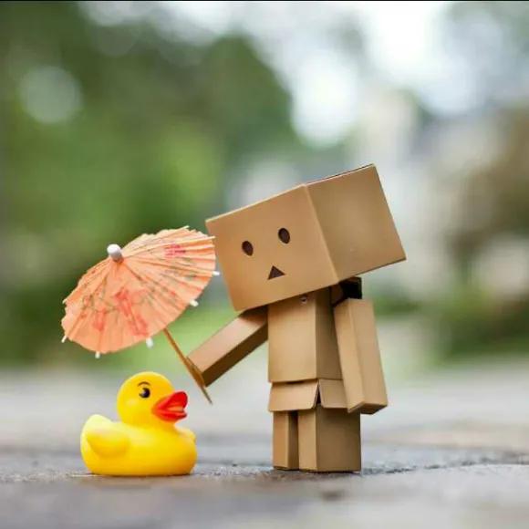 曾聽人說最大的安全感來自於卡里有錢