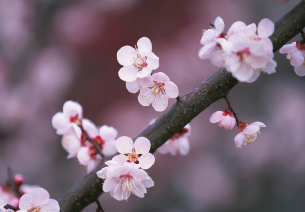 有一種高情商:不說,不評,不爭辯 有一種高情商:不說,不評,不爭辯